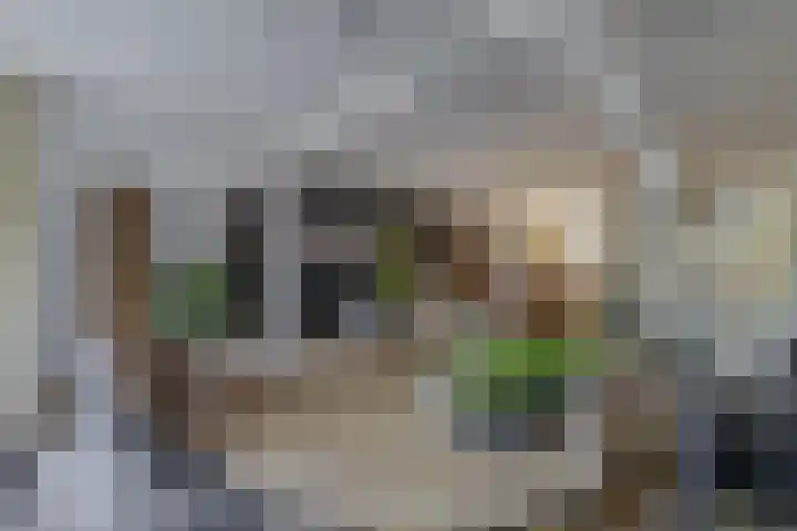 Oudlaan 68 Wageningen thumbnail 14
