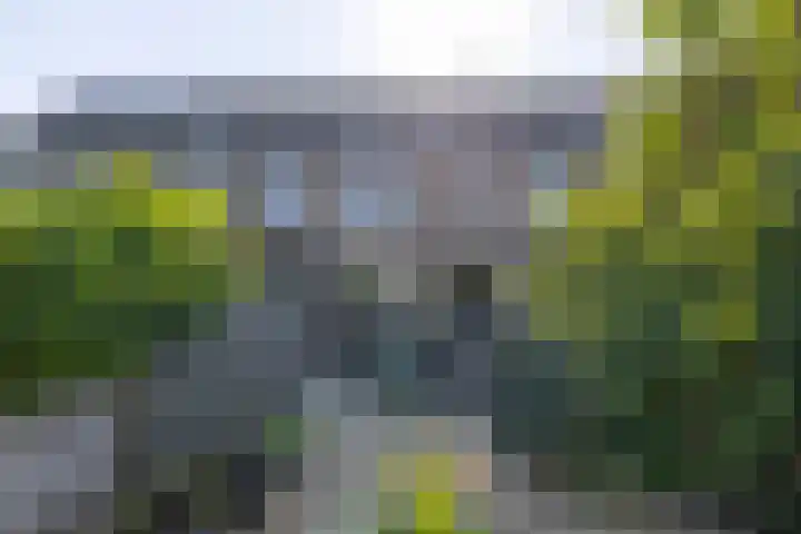 Oudlaan 68 Wageningen thumbnail 31