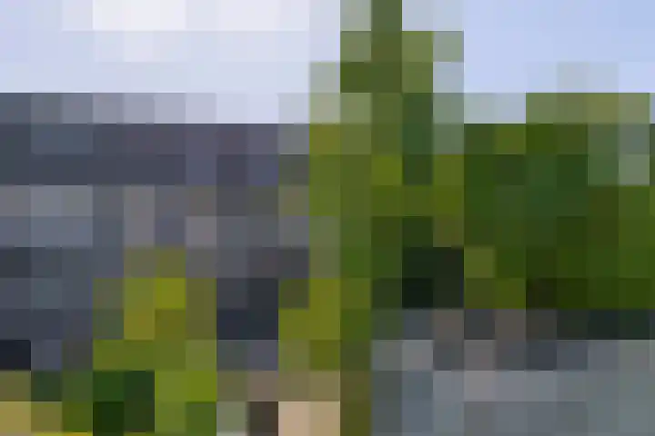 Oudlaan 68 Wageningen thumbnail 33