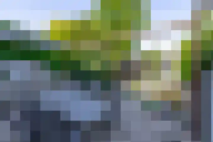 Oudlaan 68 Wageningen thumbnail 34