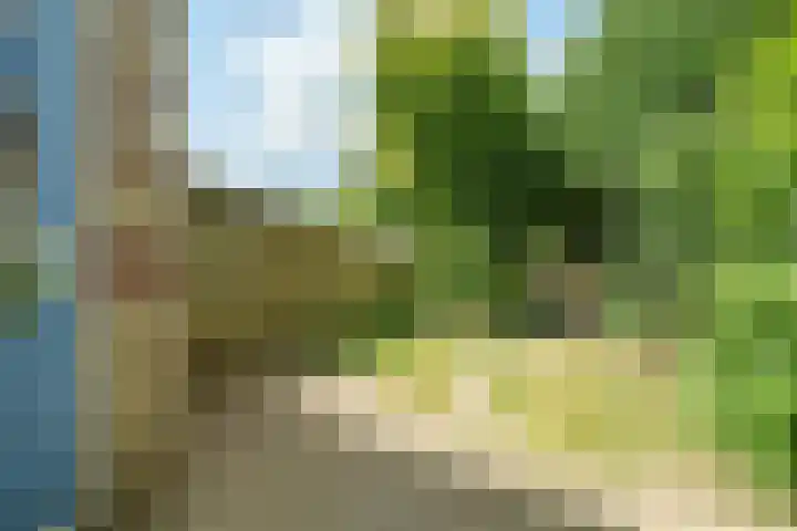 Oudlaan 70 Wageningen thumbnail 22
