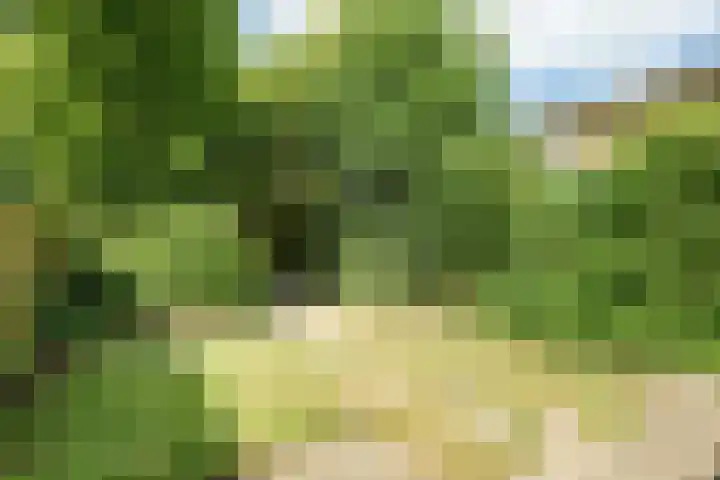 Oudlaan 70 Wageningen thumbnail 23