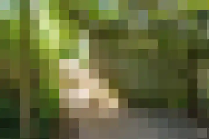 Oudlaan 70 Wageningen thumbnail 24