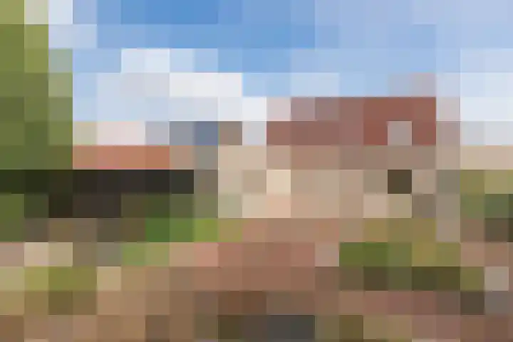 Oudlandsestraat 192 Steenbergen thumbnail 5