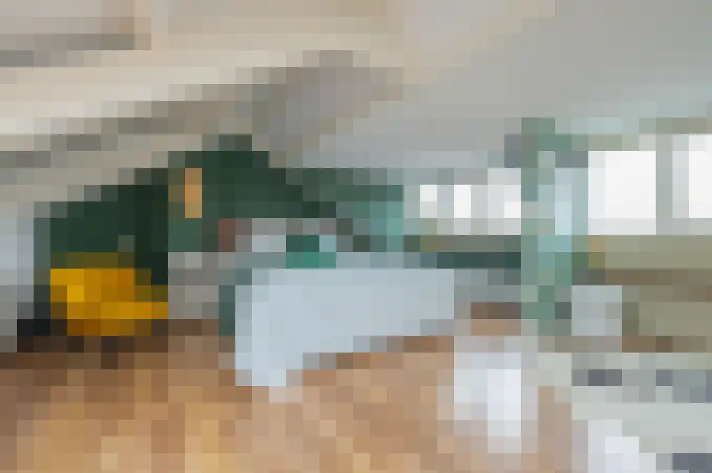 Oudlandsestraat 55 Steenbergen thumbnail 14