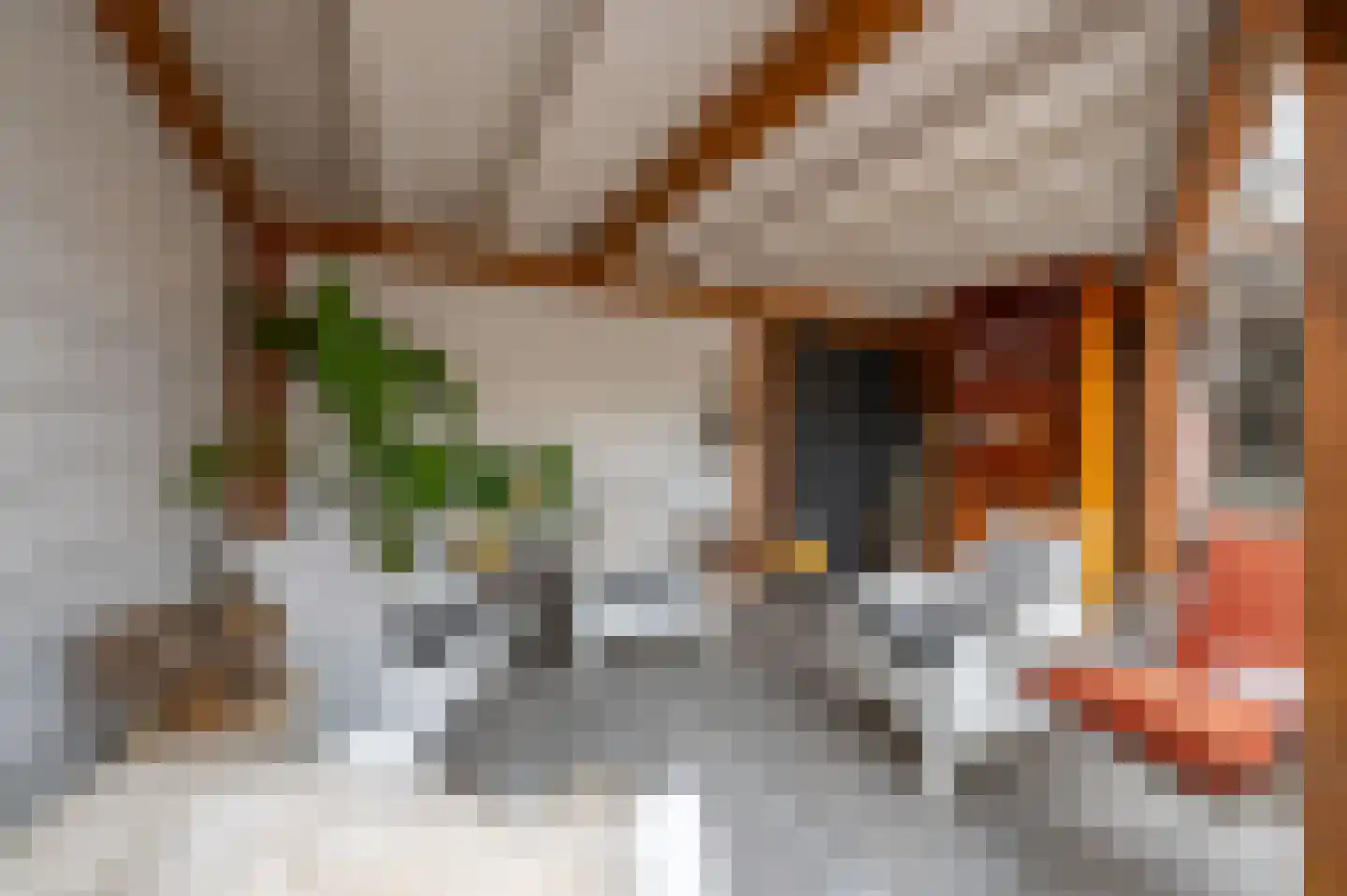 Oudlandsestraat 55 Steenbergen thumbnail 22