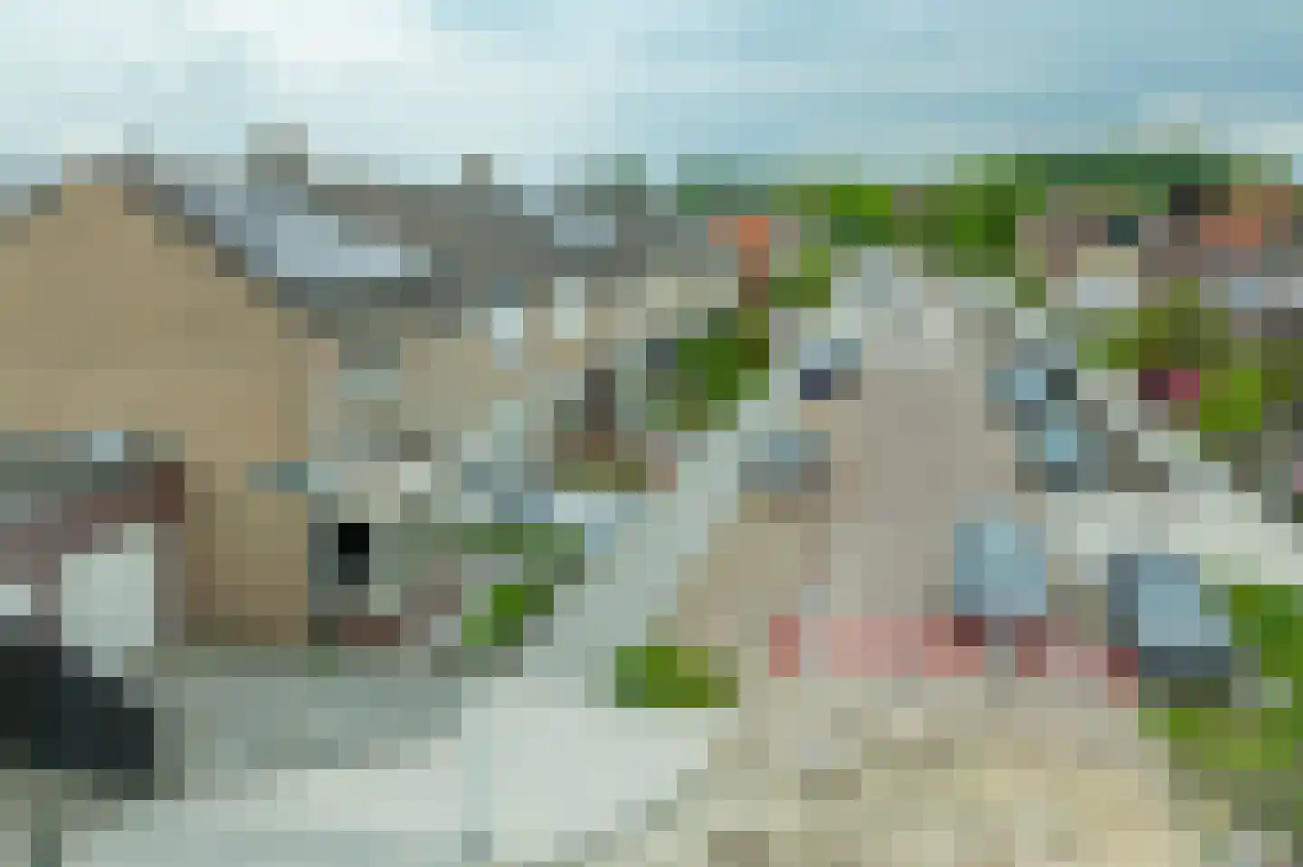 Oudlandsestraat 55 Steenbergen thumbnail 5