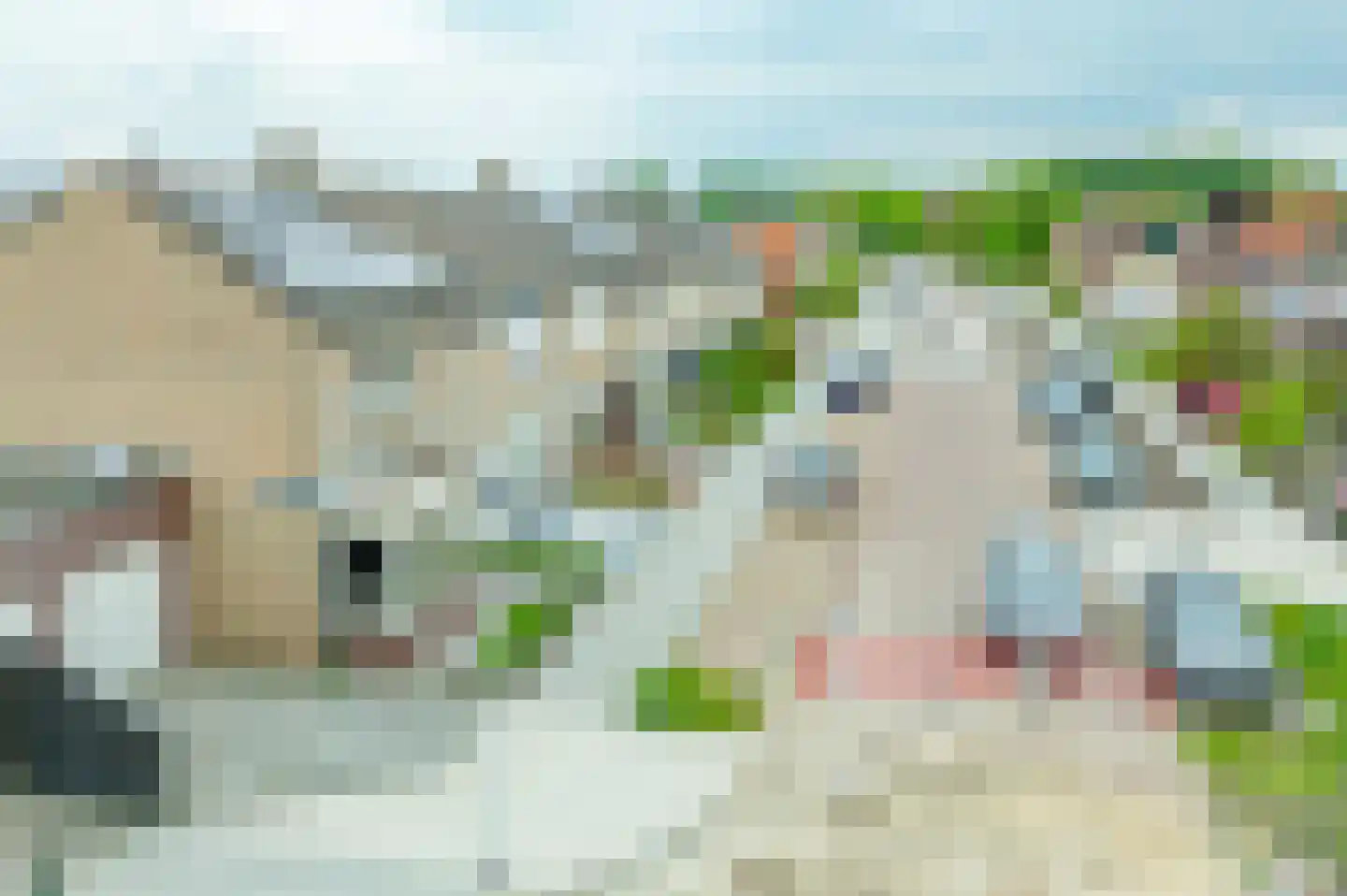 Oudlandsestraat 55 Steenbergen thumbnail 5