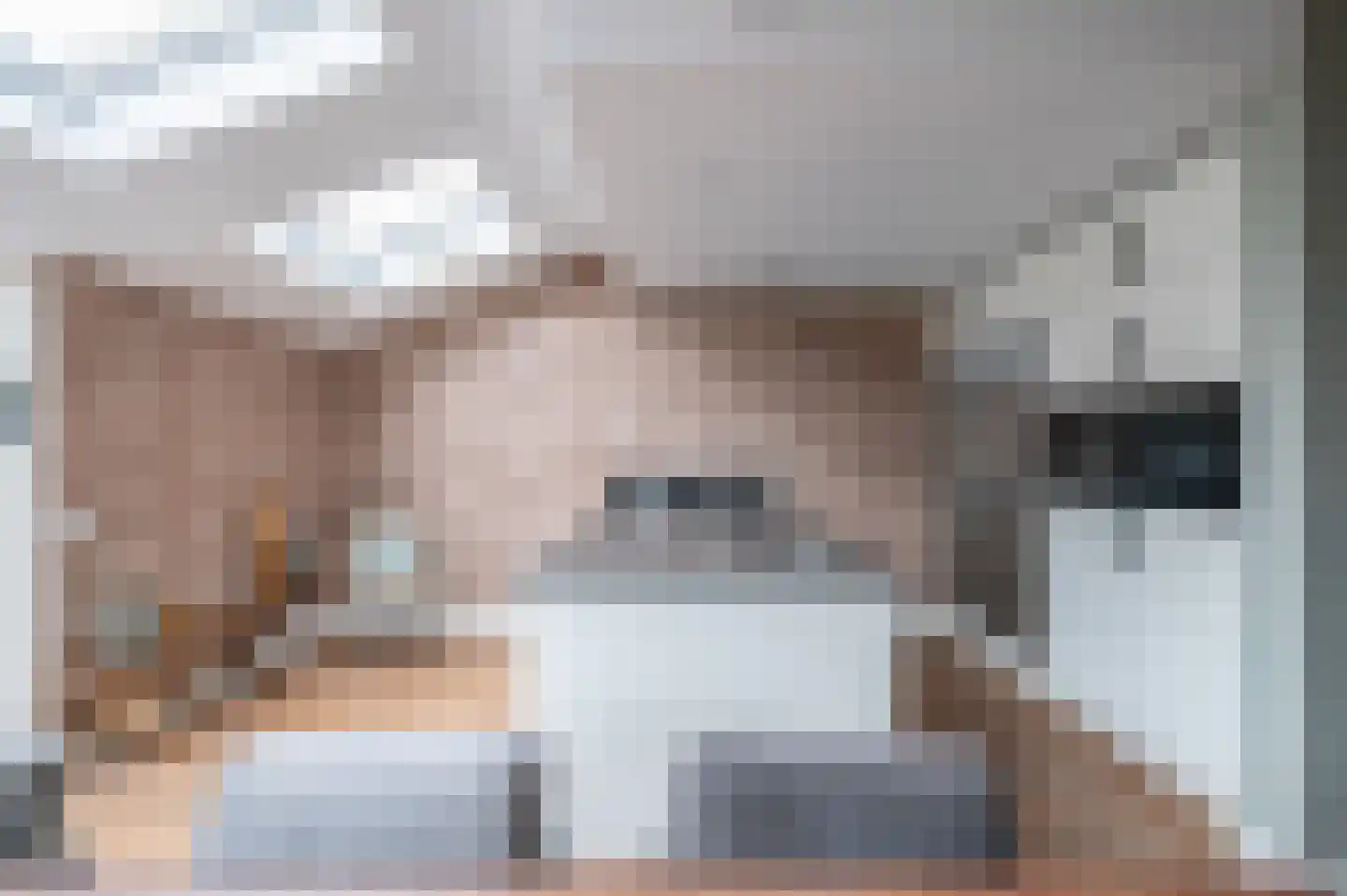 Oudlandsestraat 55 Steenbergen thumbnail 7