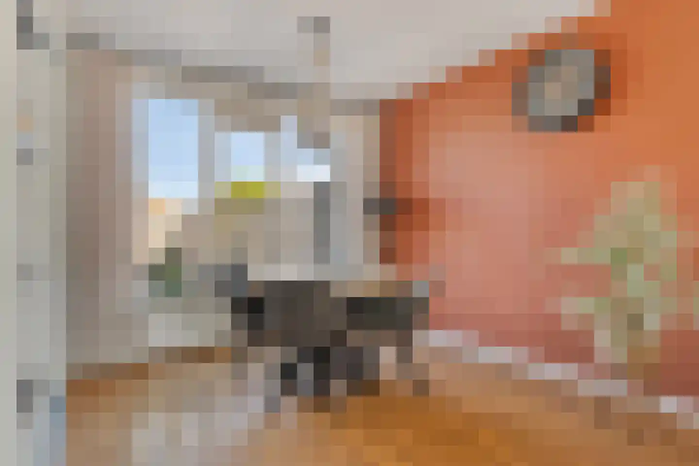 Oudlandsestraat 61 Steenbergen thumbnail 14