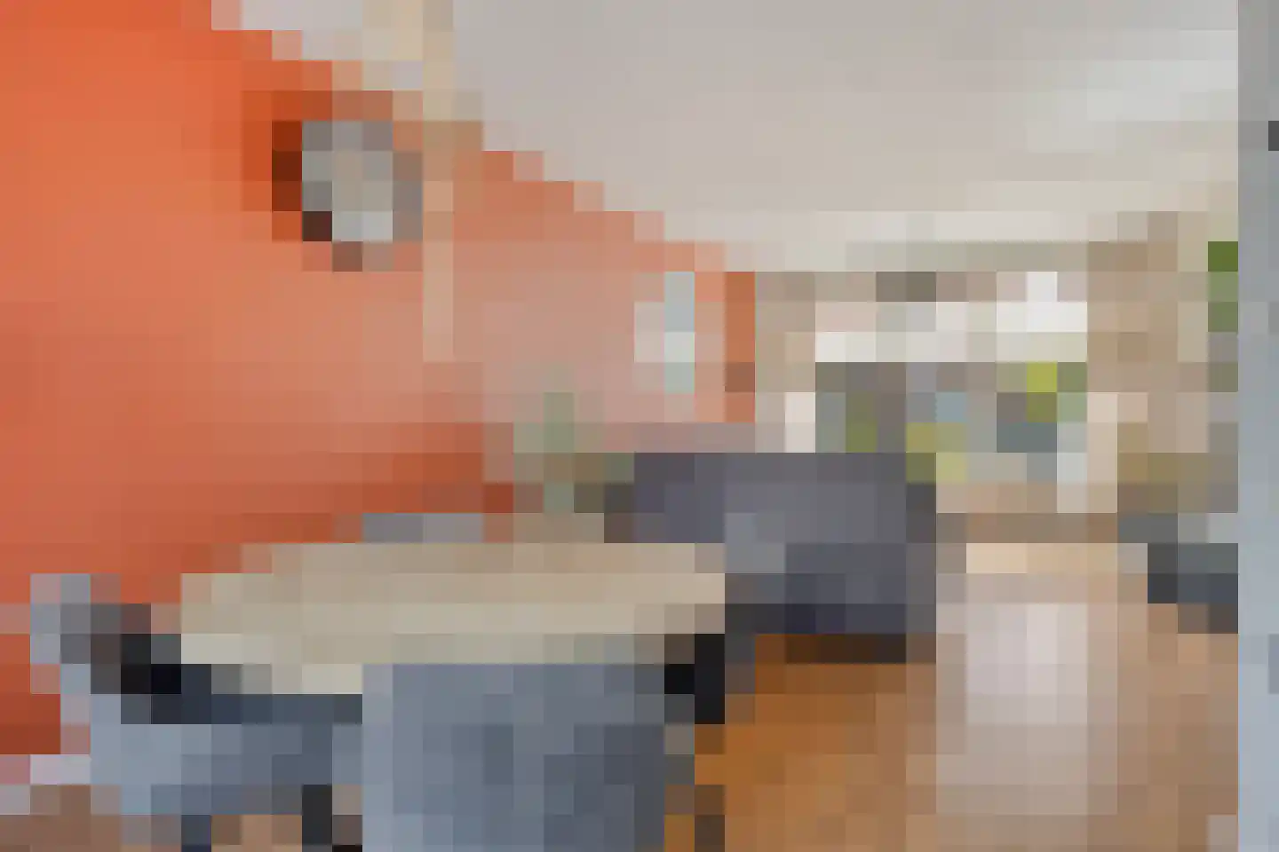 Oudlandsestraat 61 Steenbergen thumbnail 15