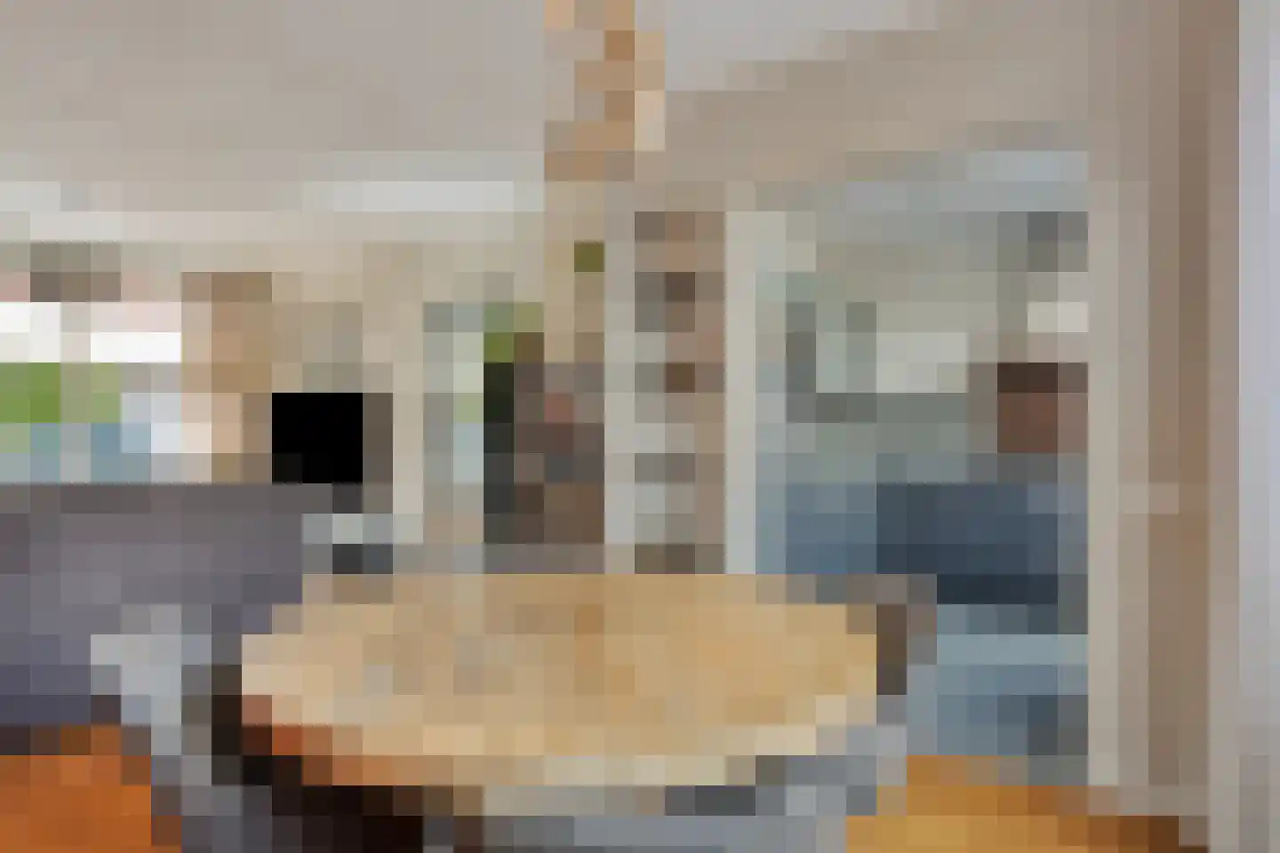 Oudlandsestraat 61 Steenbergen thumbnail 16