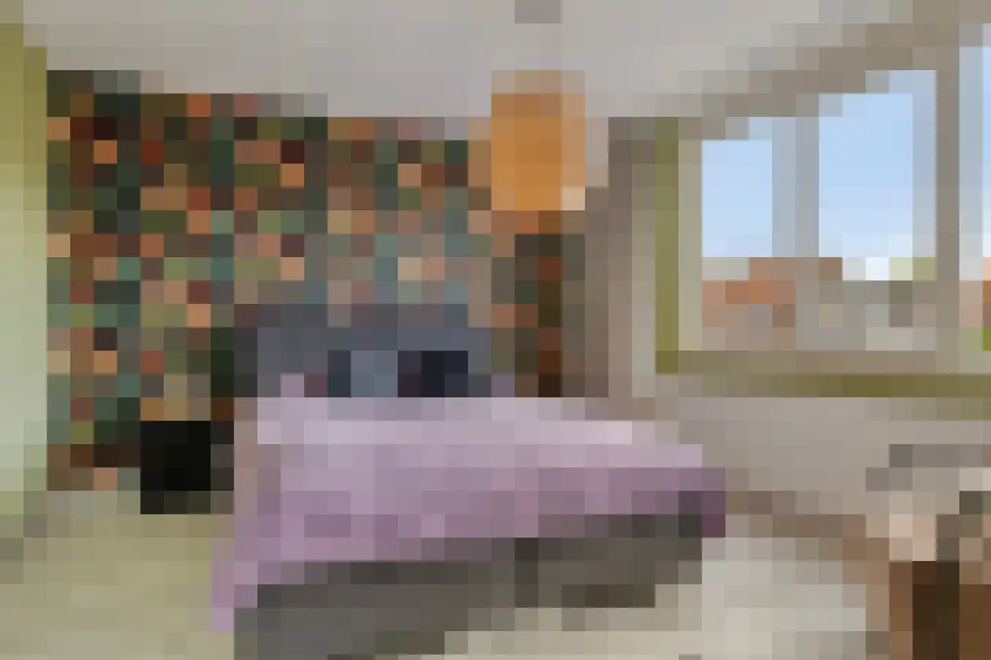 Oudlandsestraat 61 Steenbergen thumbnail 27