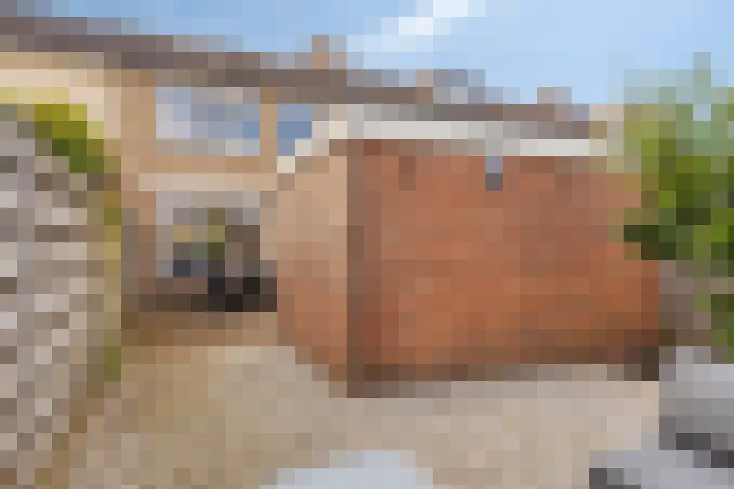 Oudlandsestraat 61 Steenbergen thumbnail 37
