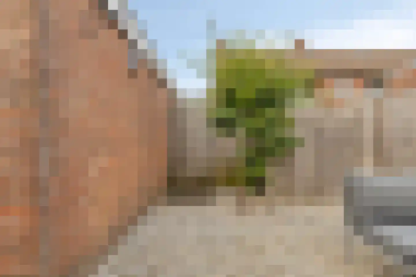 Oudlandsestraat 61 Steenbergen thumbnail 42