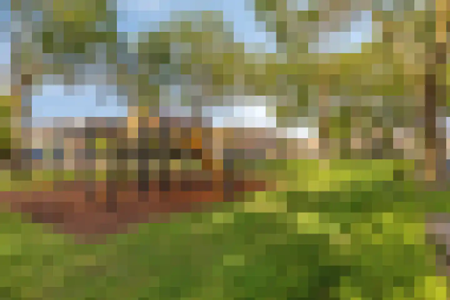 Oudlandsestraat 61 Steenbergen thumbnail 45