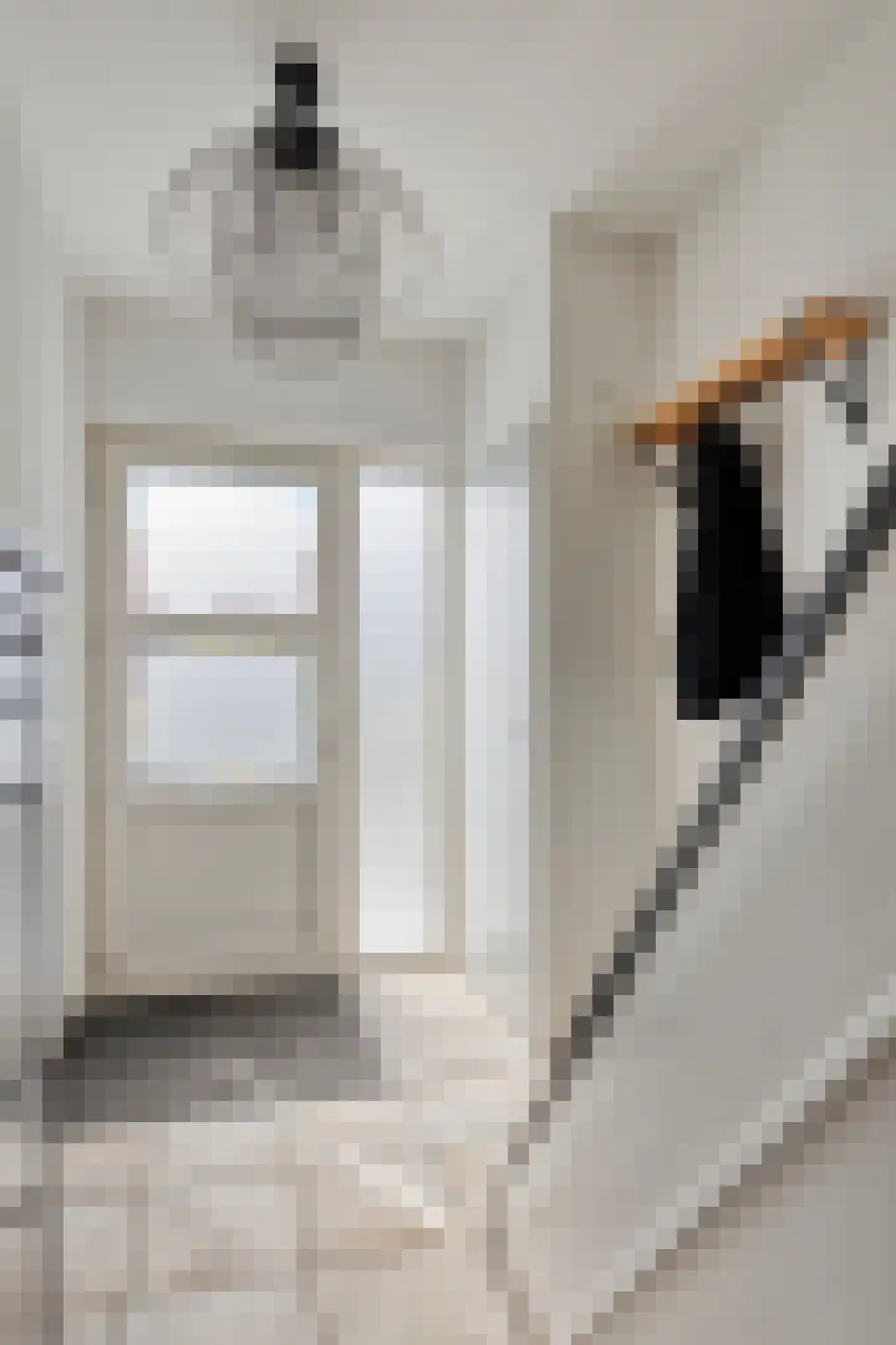 Oudlandsestraat 61 Steenbergen thumbnail 7