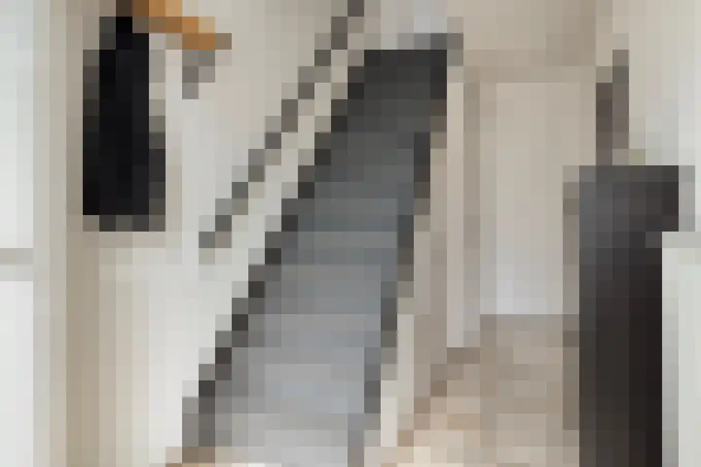 Oudlandsestraat 61 Steenbergen thumbnail 8