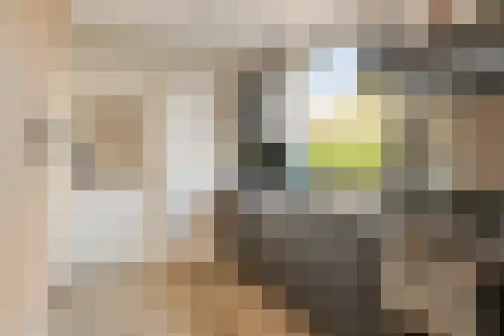 Oudlandstraat 2 Lage Zwaluwe thumbnail 10