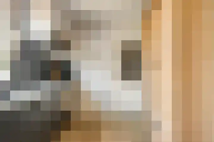Oudlandstraat 2 Lage Zwaluwe thumbnail 11
