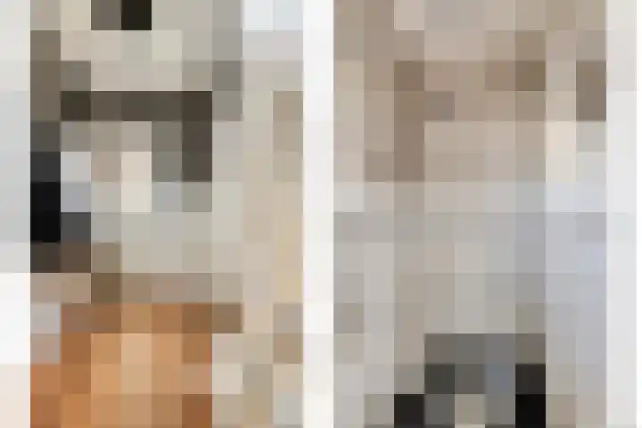 Oudlandstraat 2 Lage Zwaluwe thumbnail 15