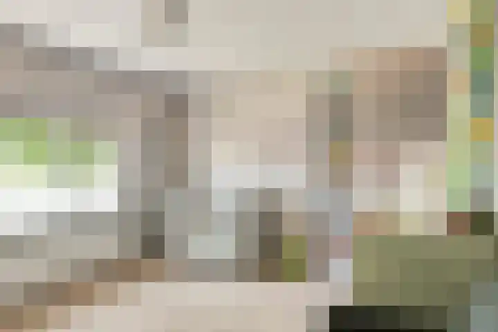 Oudlandstraat 2 Lage Zwaluwe thumbnail 20