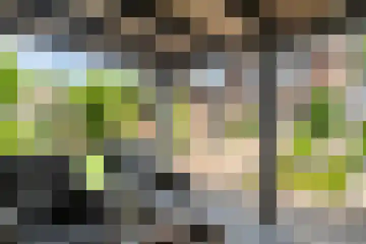 Oudlandstraat 2 Lage Zwaluwe thumbnail 28