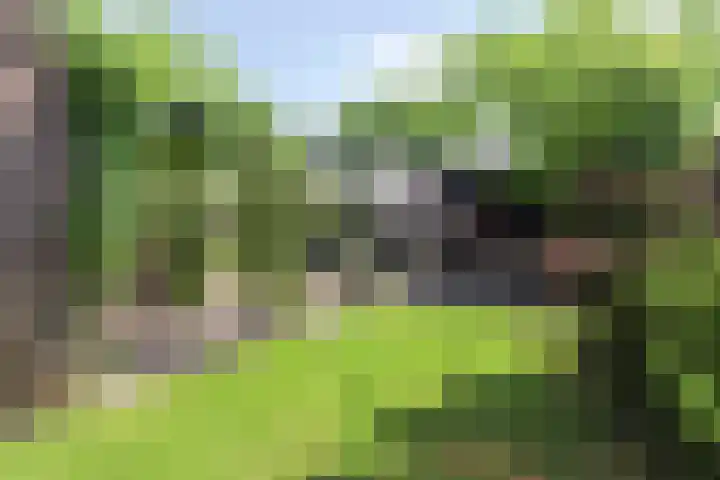 Oudlandstraat 2 Lage Zwaluwe thumbnail 30