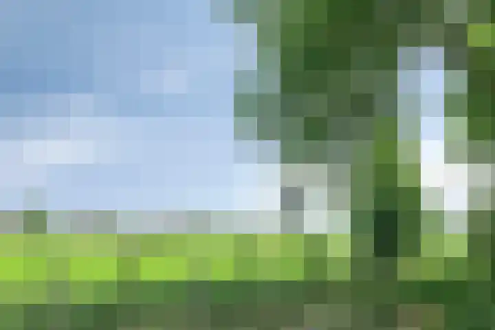 Oudlandstraat 2 Lage Zwaluwe thumbnail 32