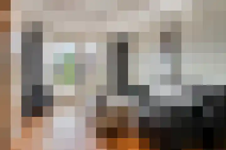 Oudlandstraat 2 Lage Zwaluwe thumbnail 4