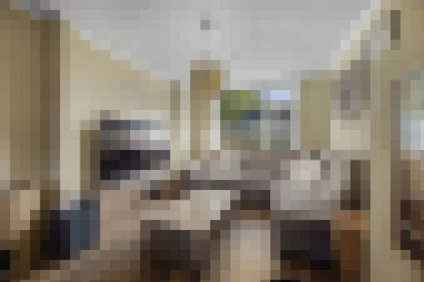 Oudlandstraat 6 Lage Zwaluwe thumbnail 15