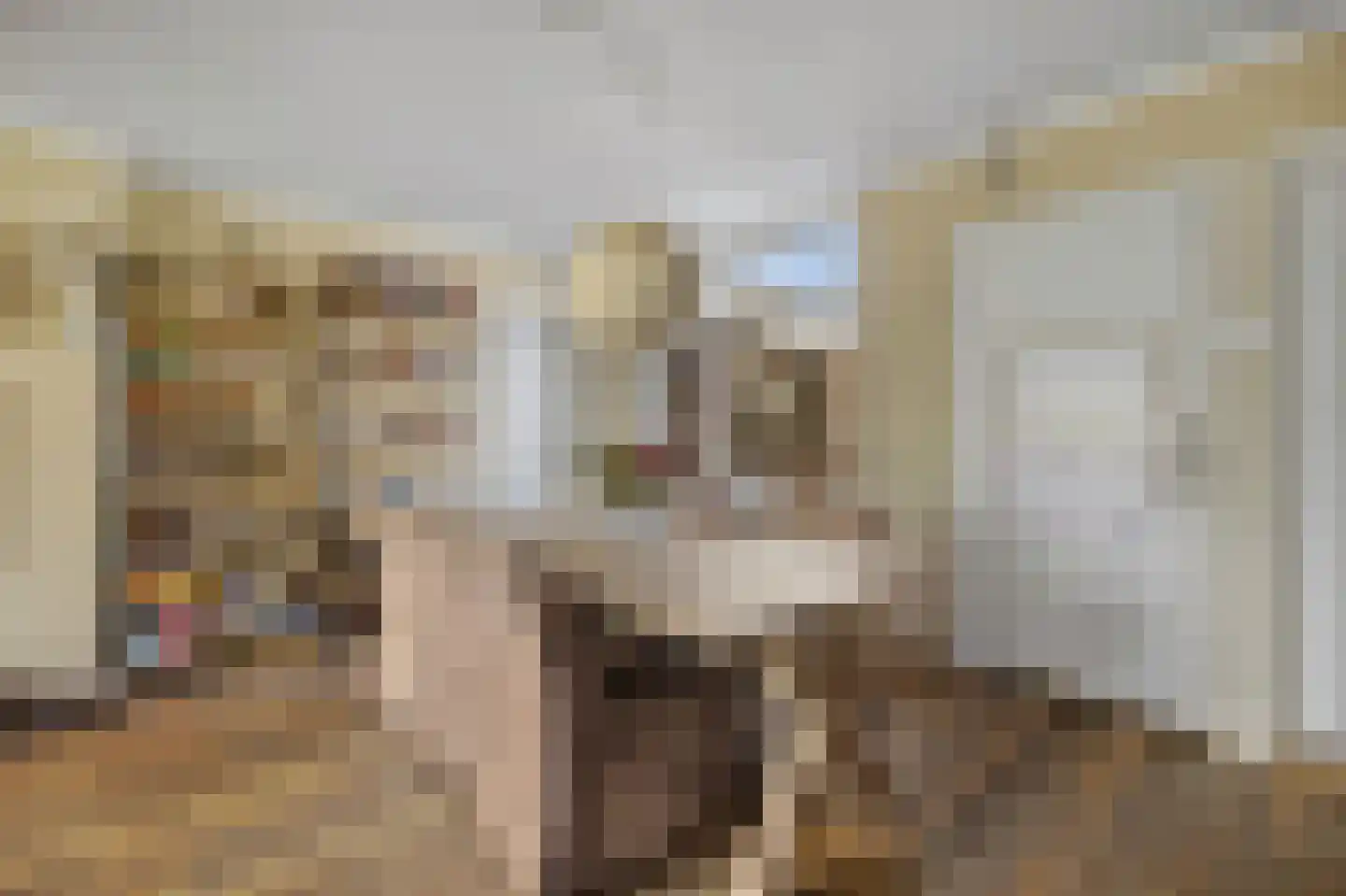 Oudlandstraat 6 Lage Zwaluwe thumbnail 17