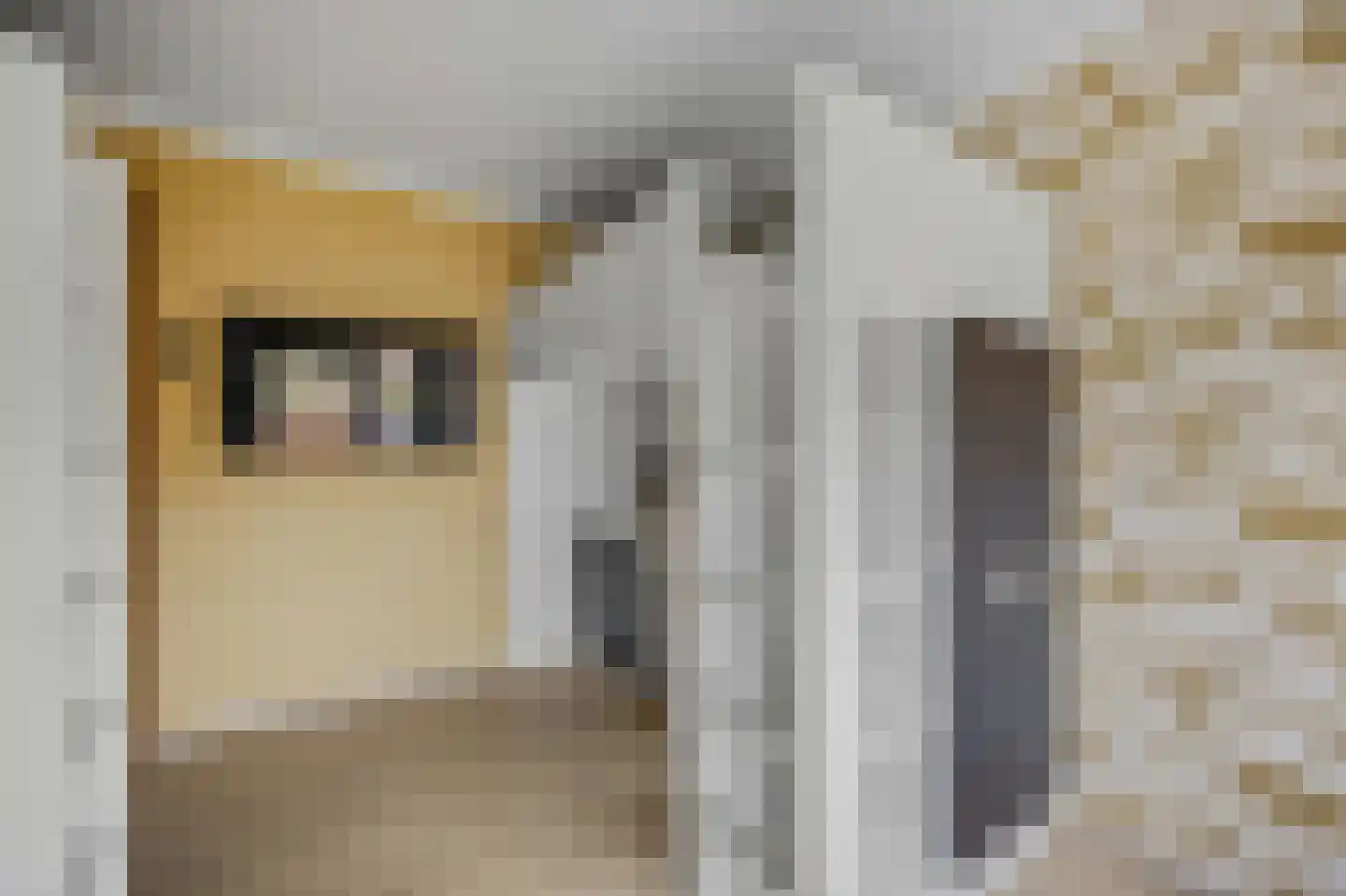 Oudlandstraat 6 Lage Zwaluwe thumbnail 34