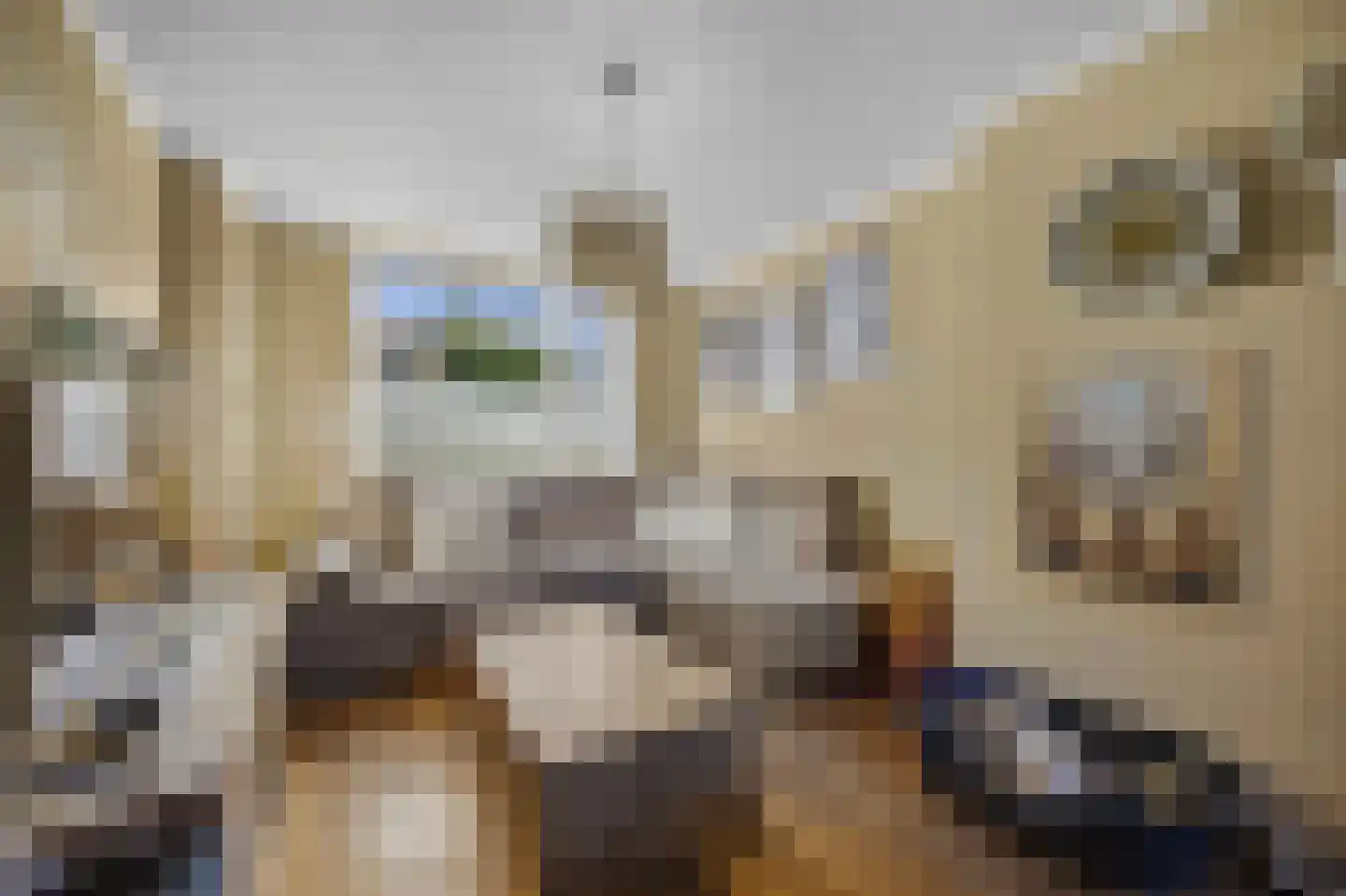 Oudlandstraat 6 Lage Zwaluwe thumbnail 5
