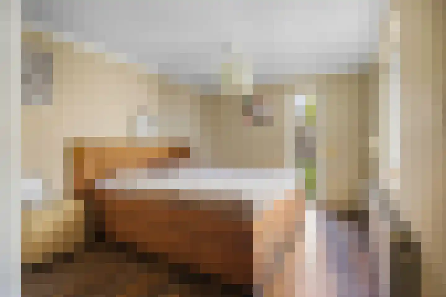 Oudlandstraat 6 Lage Zwaluwe thumbnail 7