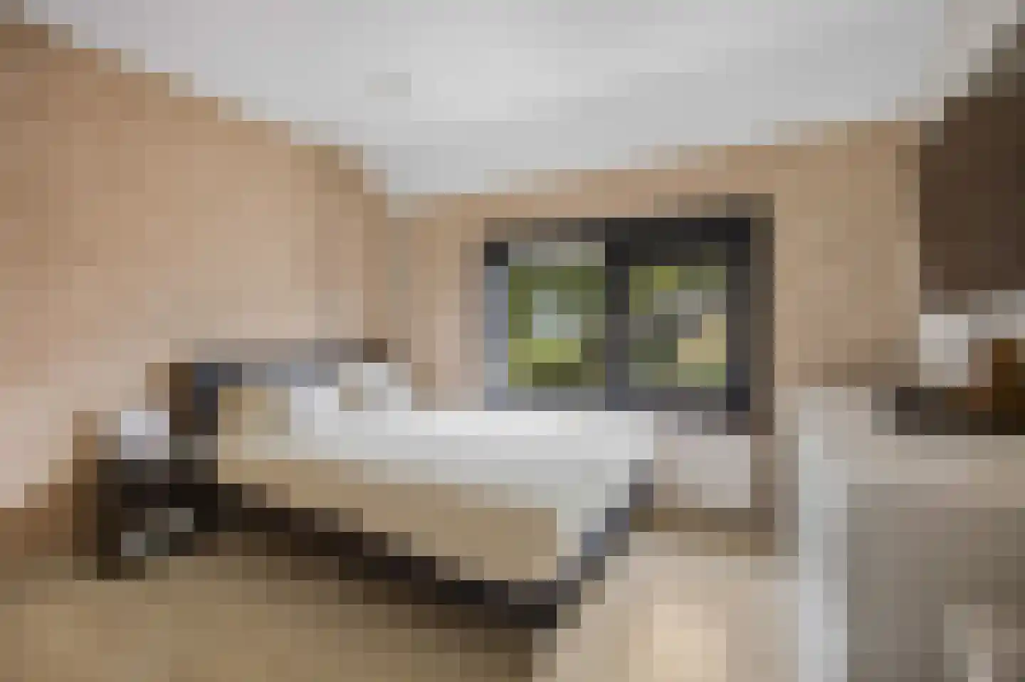 Oudlandstraat 6 Lage Zwaluwe thumbnail 9