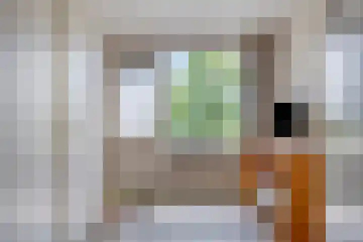 Oudlandstraat 7 Lage Zwaluwe thumbnail 21