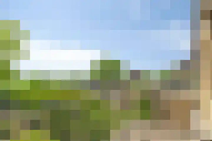 Oudlandstraat 7 Lage Zwaluwe thumbnail 22