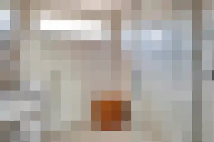 Oudlandstraat 7 Lage Zwaluwe thumbnail 23