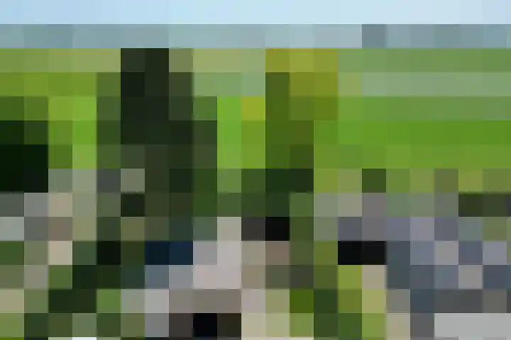 Oudlandstraat 7 Lage Zwaluwe thumbnail 27