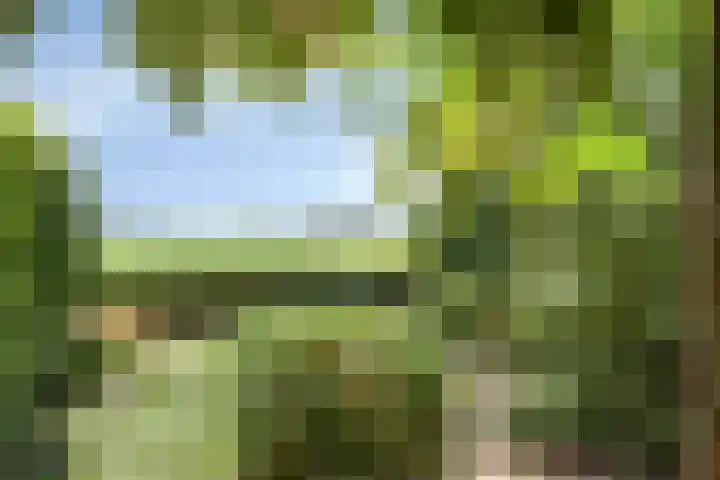 Oudlandstraat 7 Lage Zwaluwe thumbnail 31