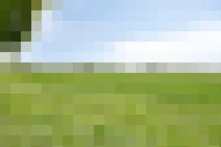 Oudlandstraat 7 Lage Zwaluwe thumbnail 33