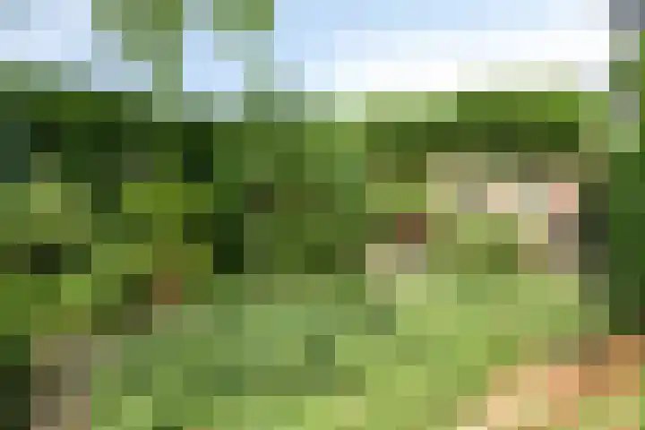 Oudlandstraat 7 Lage Zwaluwe thumbnail 34