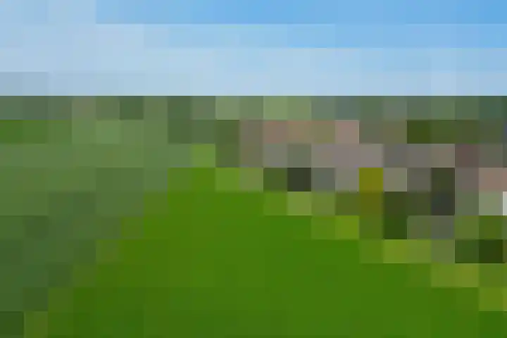 Oudlandstraat 7 Lage Zwaluwe thumbnail 37