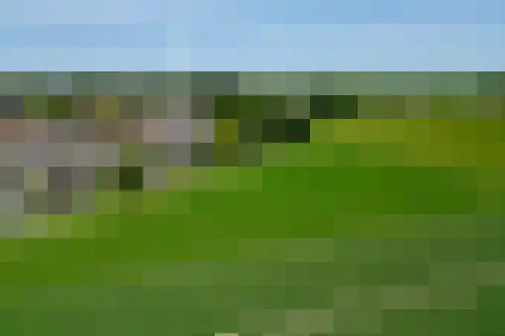 Oudlandstraat 7 Lage Zwaluwe thumbnail 38