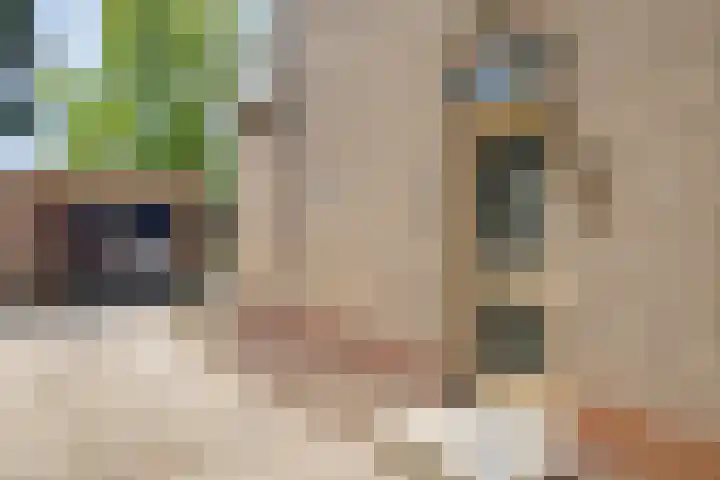 Oudlandstraat 7 Lage Zwaluwe thumbnail 4
