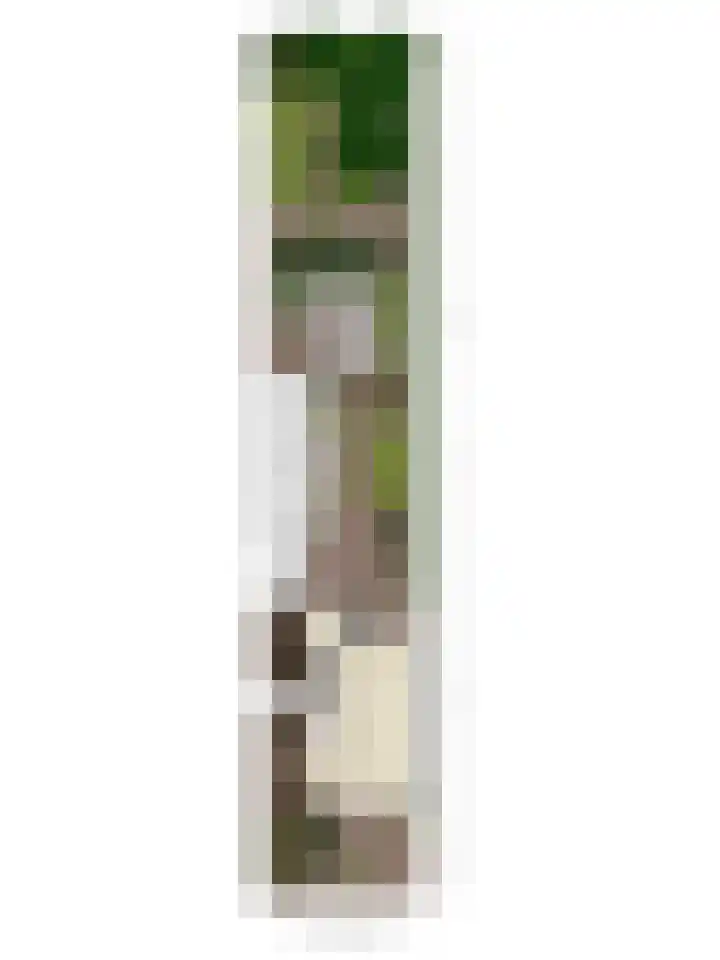 Oudlandstraat 7 Lage Zwaluwe thumbnail 43