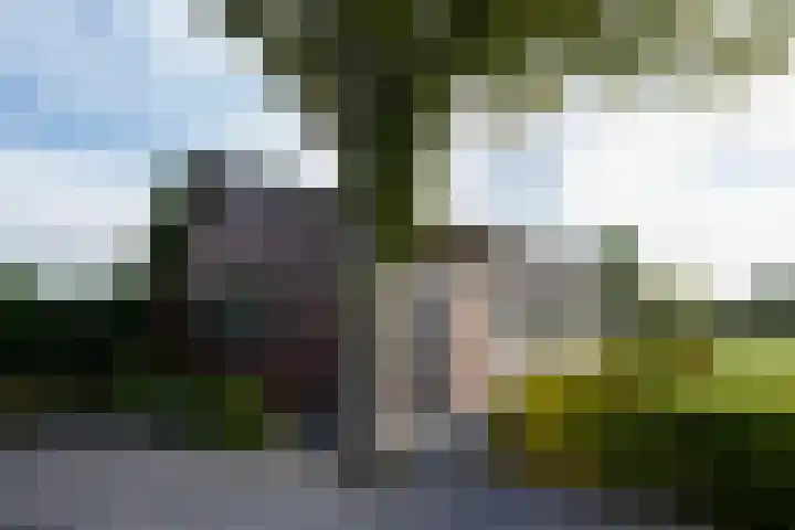 Oudlandweg 6 Oudenbosch thumbnail 33