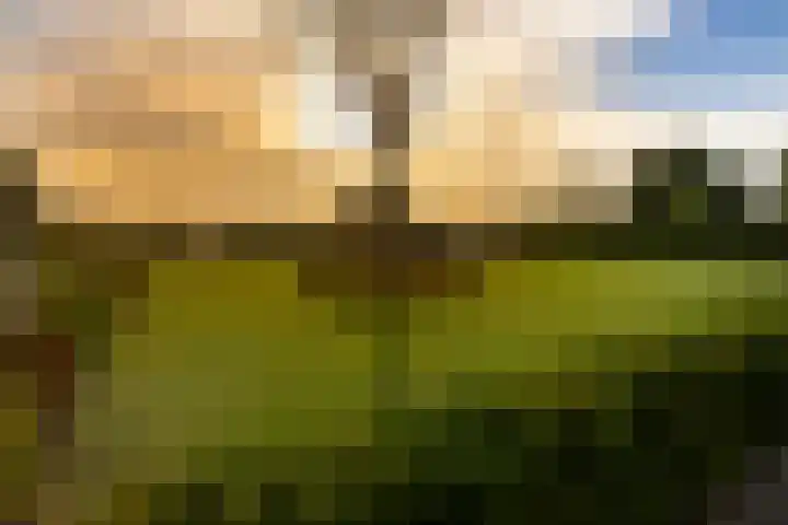 Oudlandweg 6 Oudenbosch thumbnail 42