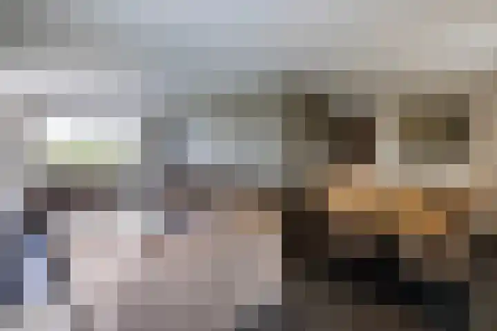 Oudlandweg 6 Oudenbosch thumbnail 5